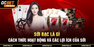 Giới thiệu sơ lược về hình thức tổ chức sới bạc