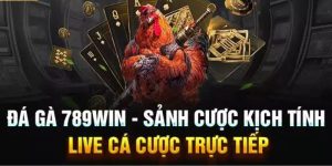 đá gà 789win