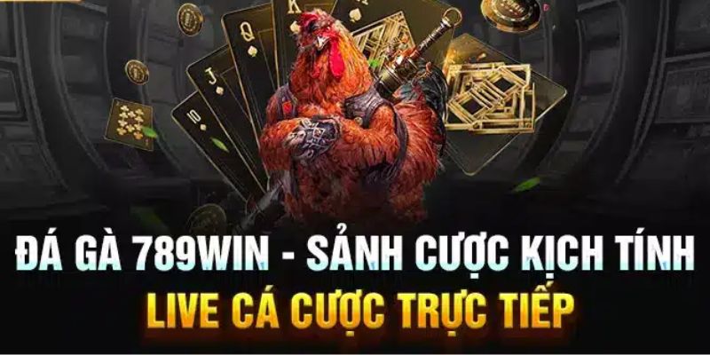 Sảnh đá gà 789WIN - biểu tượng của sự giải trí đẳng cấp