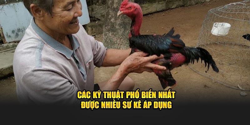 Các kỹ thuật phổ biến nhất được nhiều sư kê áp dụng