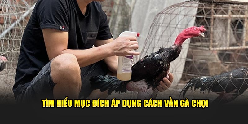 Tìm hiểu mục đích áp dụng cách vần gà chọi